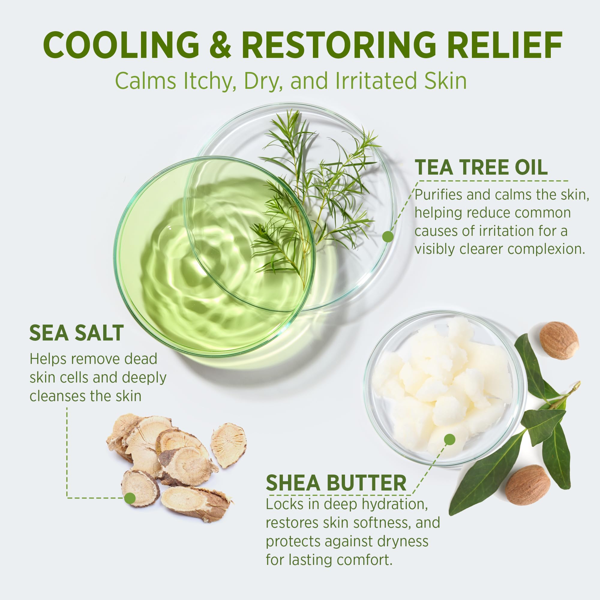 Roycederm Skin Care Ritual complements routine with antibacterial tea tree benefits.