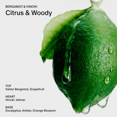 Extractos de algas marinas en Salt & Stone para hidratación de la piel.