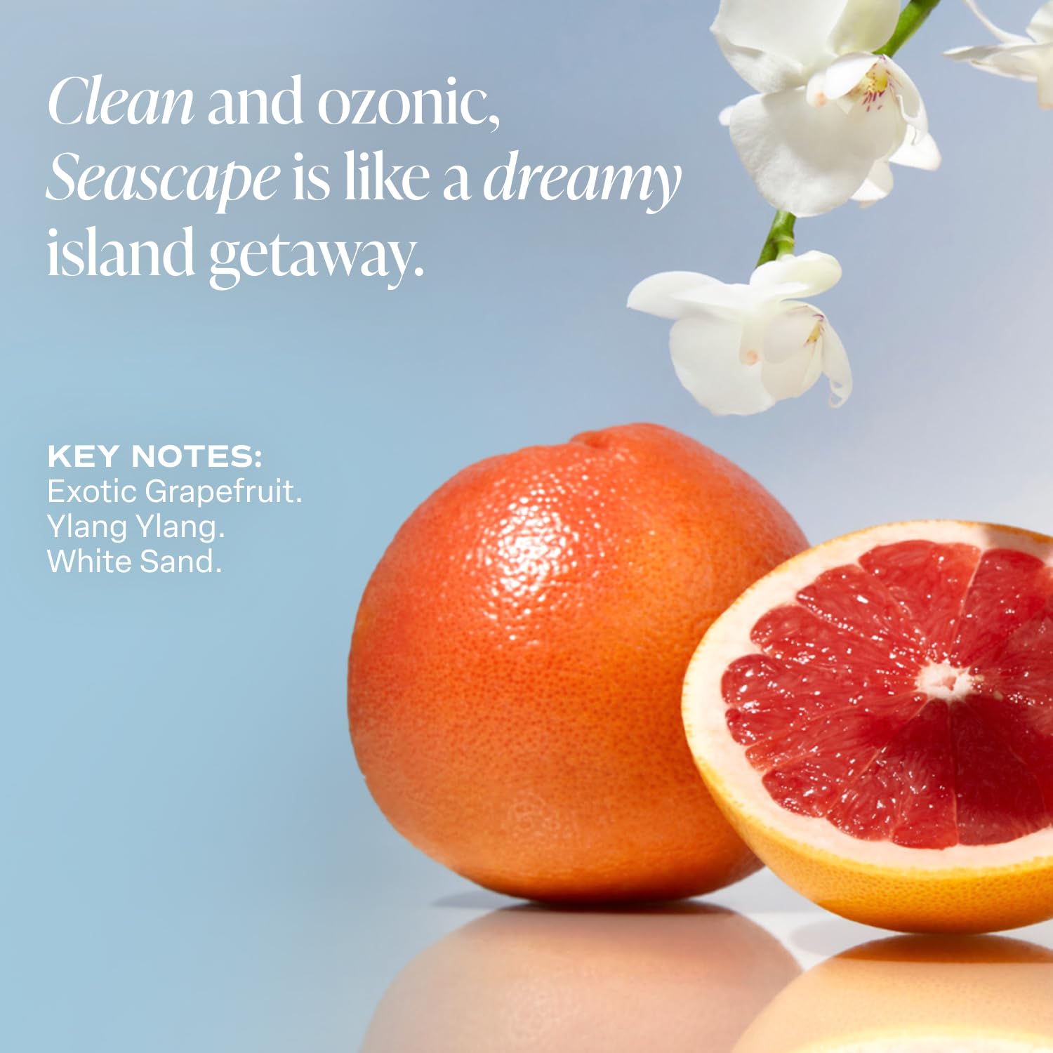 Saltair Serum Deodorant Mandelic Lactic formula with Niacinamide for skin-friendly exfoliation.