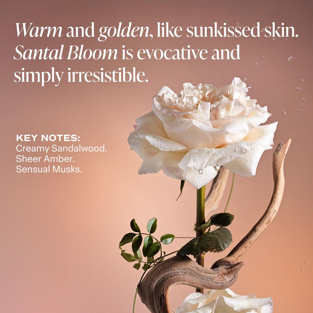 Saltair Skincare Deodorant ingredients graphic featuring probiotic ferment zinc coconut oil