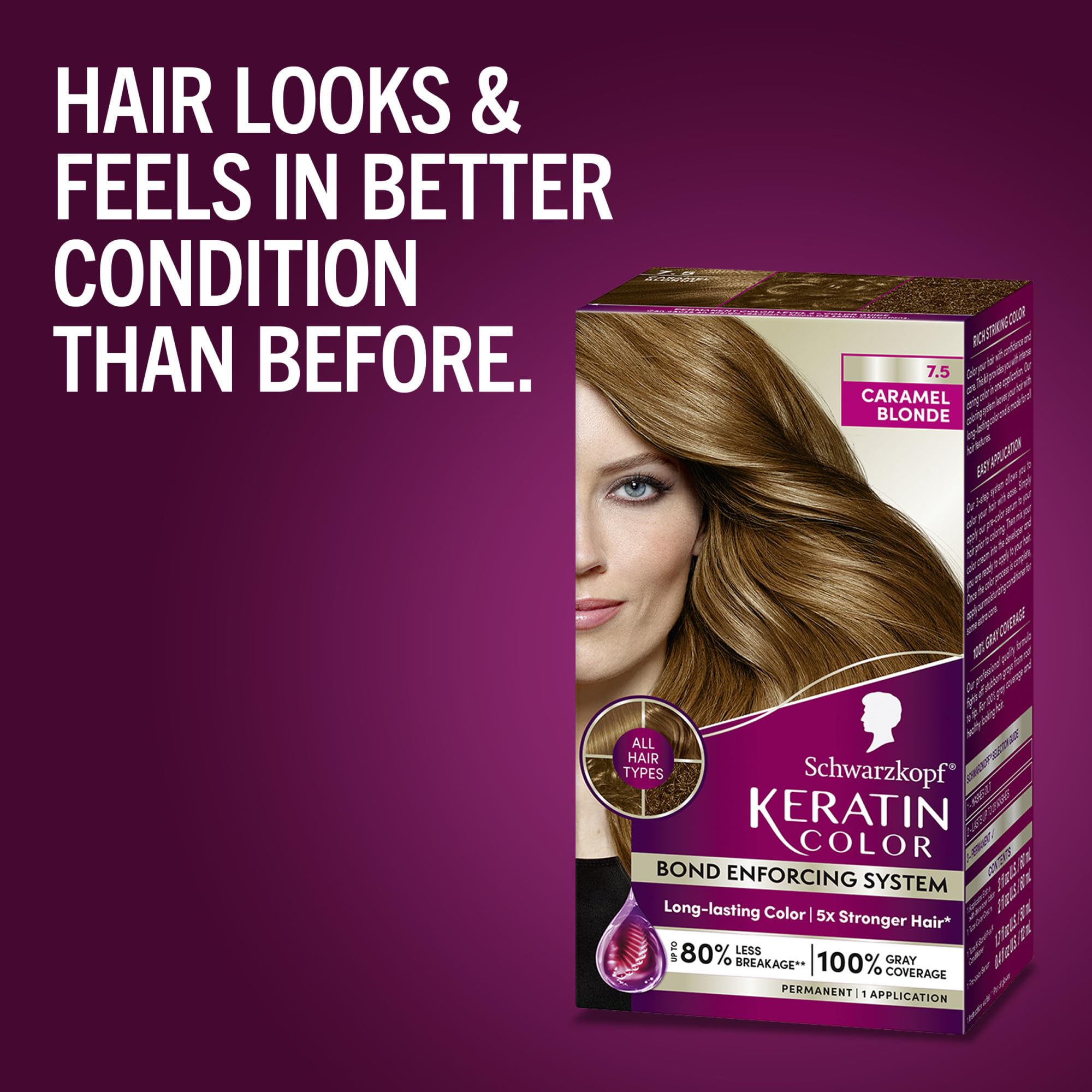 Schwarzkopf color application instructions leaflet with step-by-step guidance.