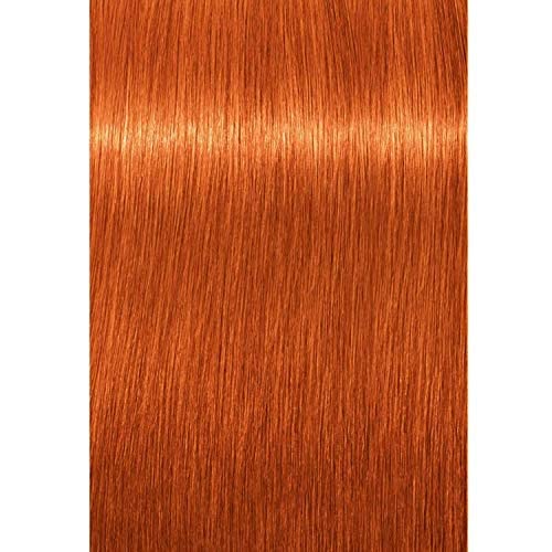 Schwarzkopf Igora Royal permanent 8-77 color application for vibrant copper blonde
