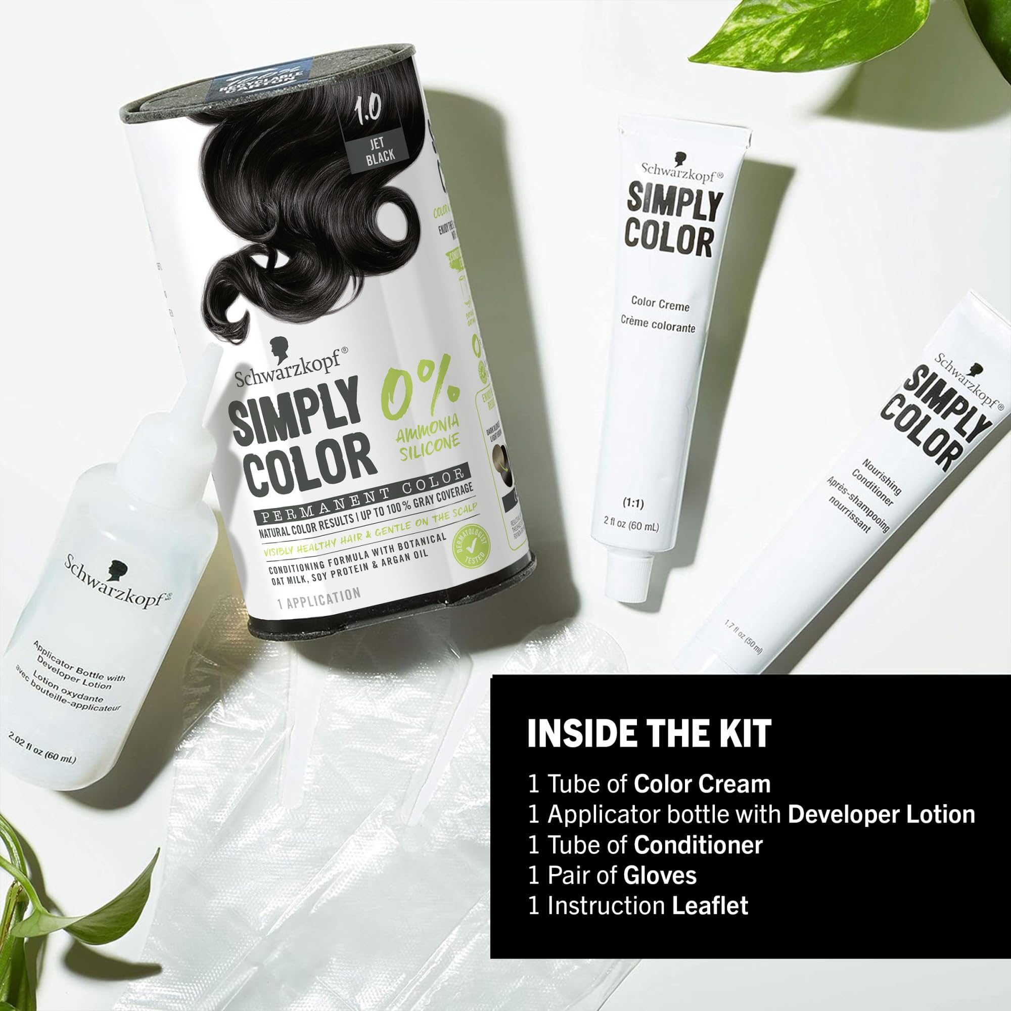 Sustainable packaging featuring recyclable carton and compostable lid