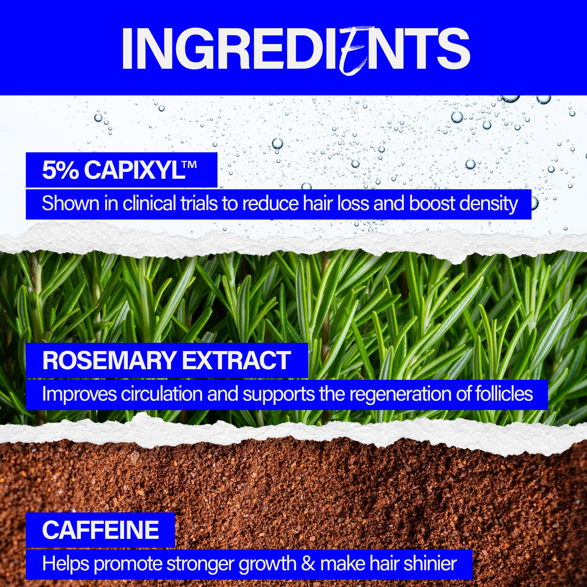 Scotch Porter rosemary extract segment showcases natural plant power for healthier hair.