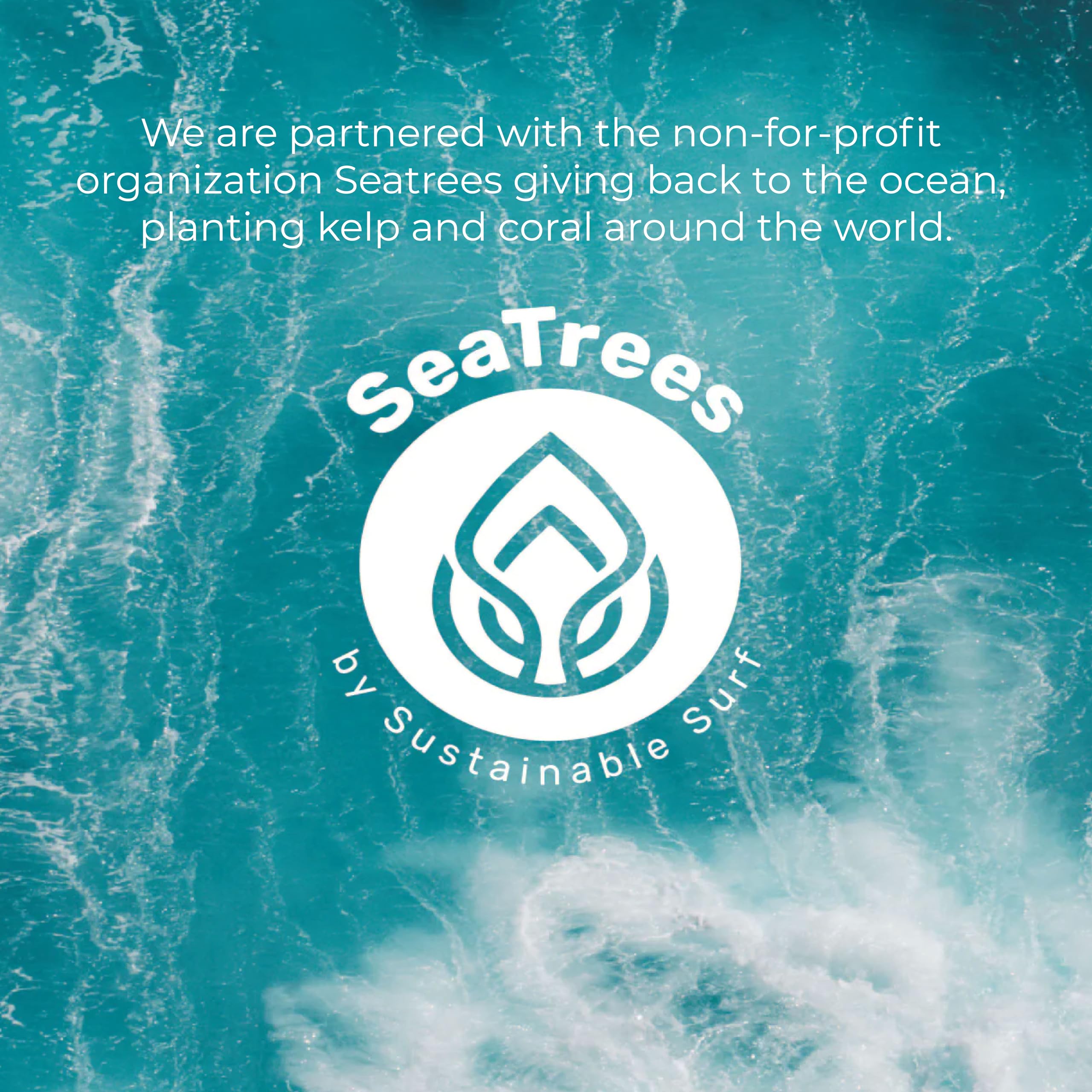 Sea-El Sérum de Ricino libre de crueldad, opción ética de cuidado.