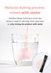 SEEDBEE gray-hair-coverage-application demonstrates natural blending with existing color.