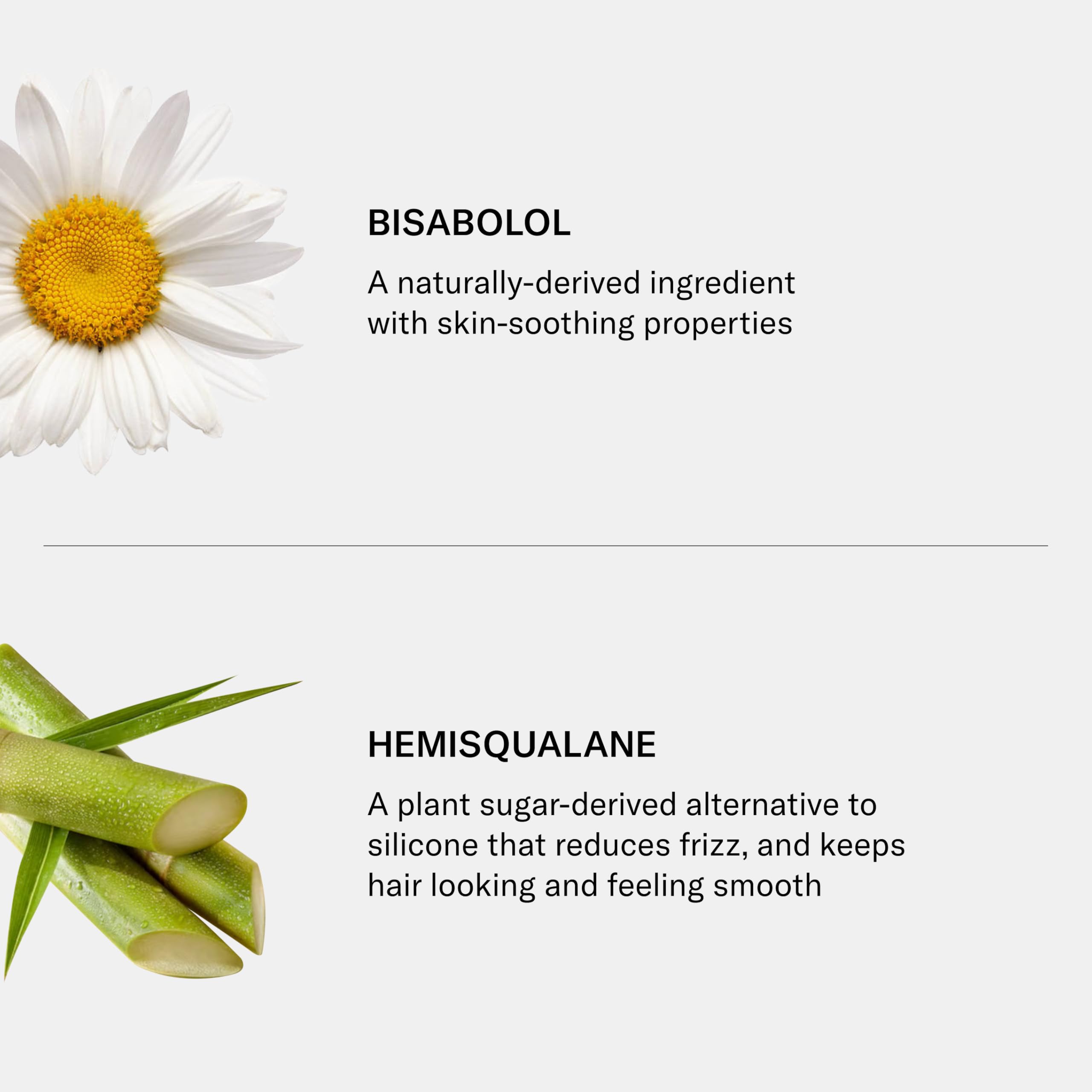 SEEN Fragrance-Free Shampoo packaging-recycling supports eco-conscious use.