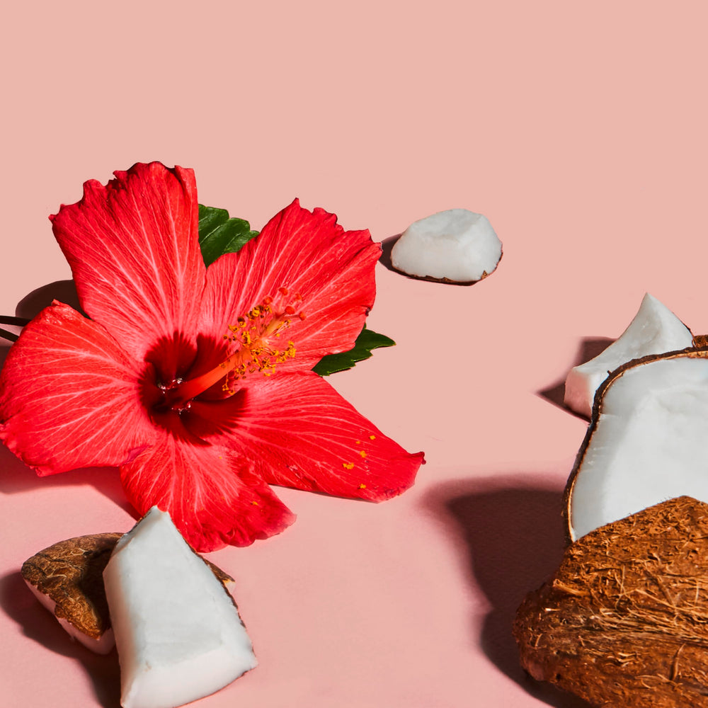 Sheamoisture Coconut Hibiscus locks in moisture with Elm Extract
