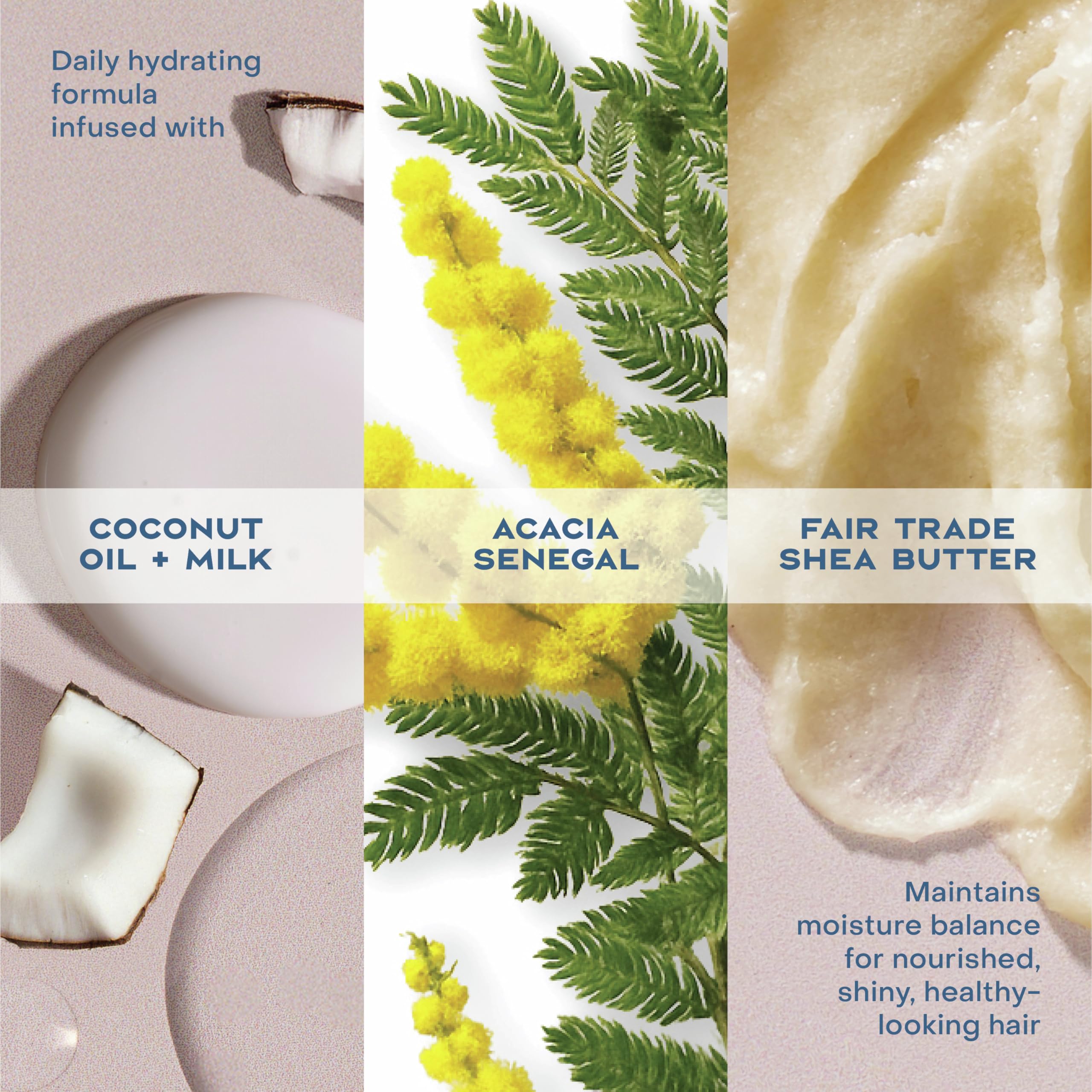 SheaMoisture Condicionador: ingredientes como coco virgen y aloe para hidratación.