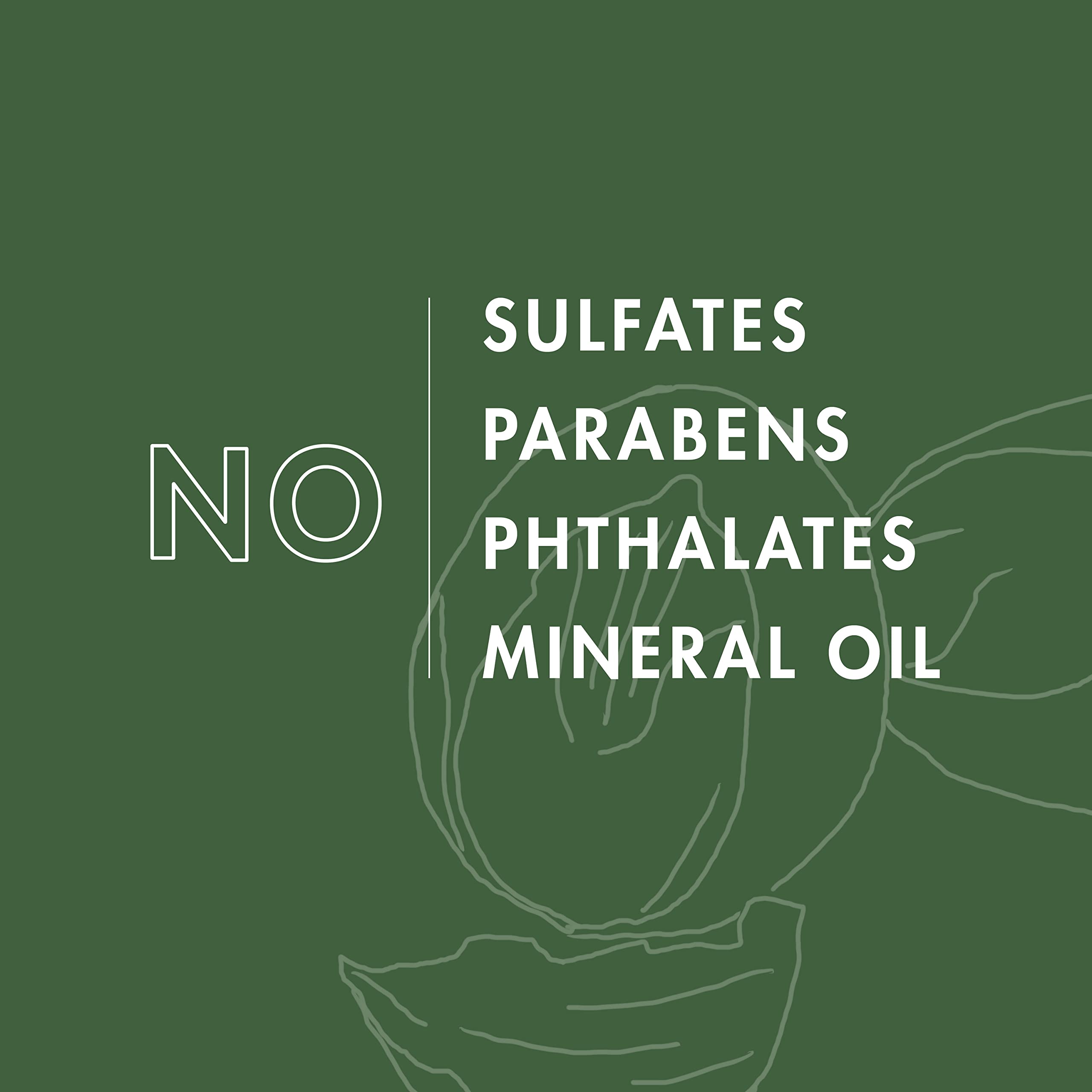 Close-up of ingredients for skin hydration
