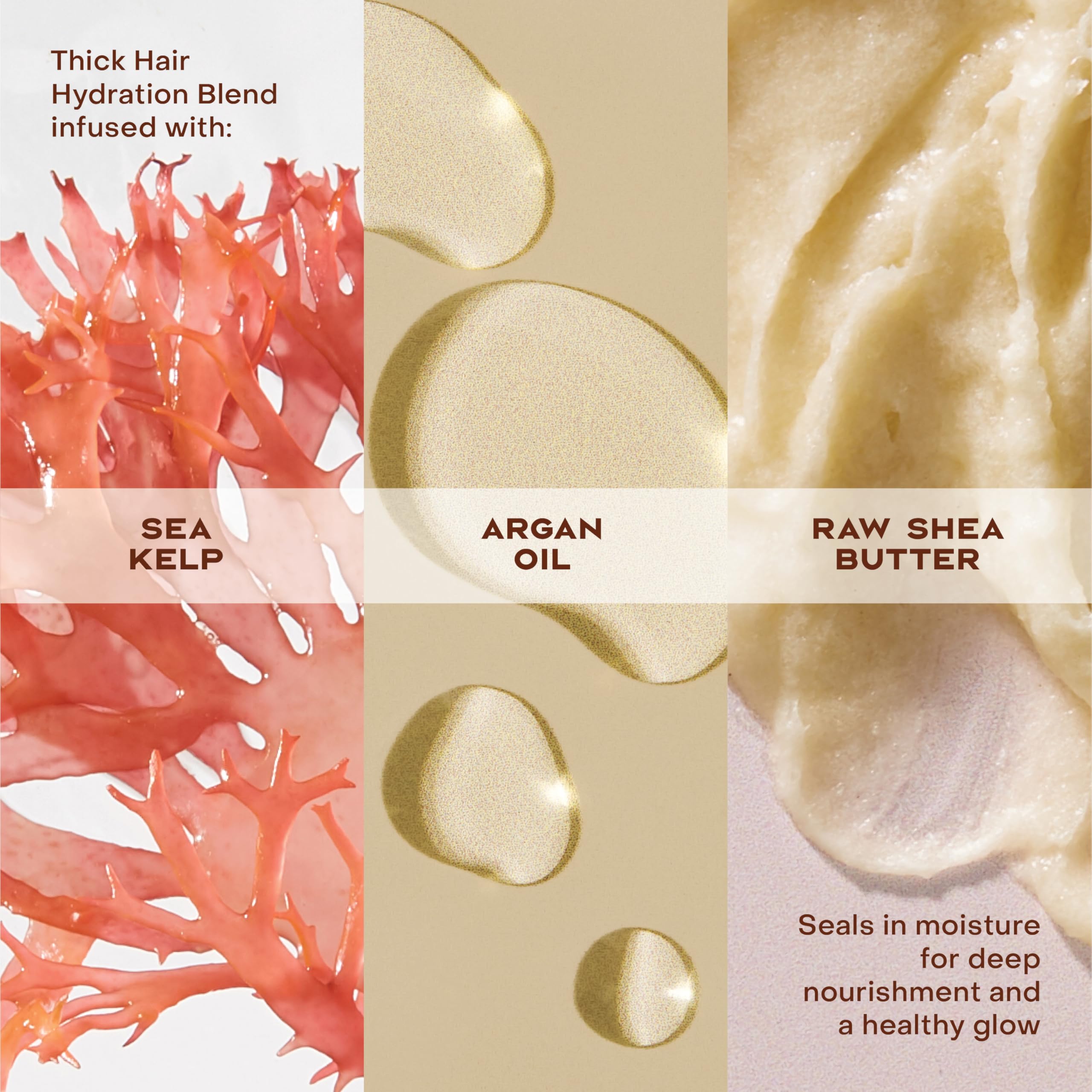 Textura cremosa de SheaMoisture Restorative Conditioner, nutre rizos secos.