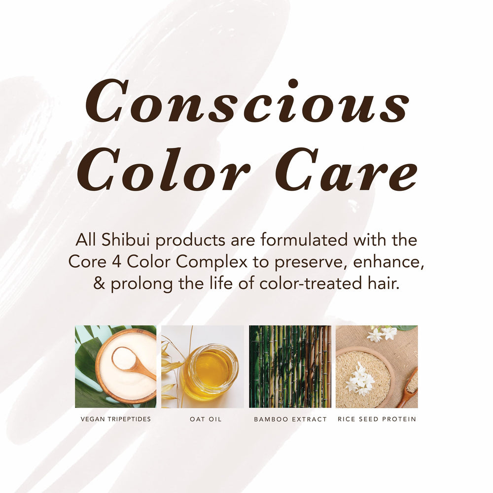 SHIBUI Everydayness Shampoo core4 ingredients panel highlighting color care.