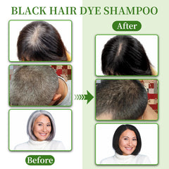 SHIHUANUO 3 en 1: champú, tinte y acondicionador en uno, para cabello completo.