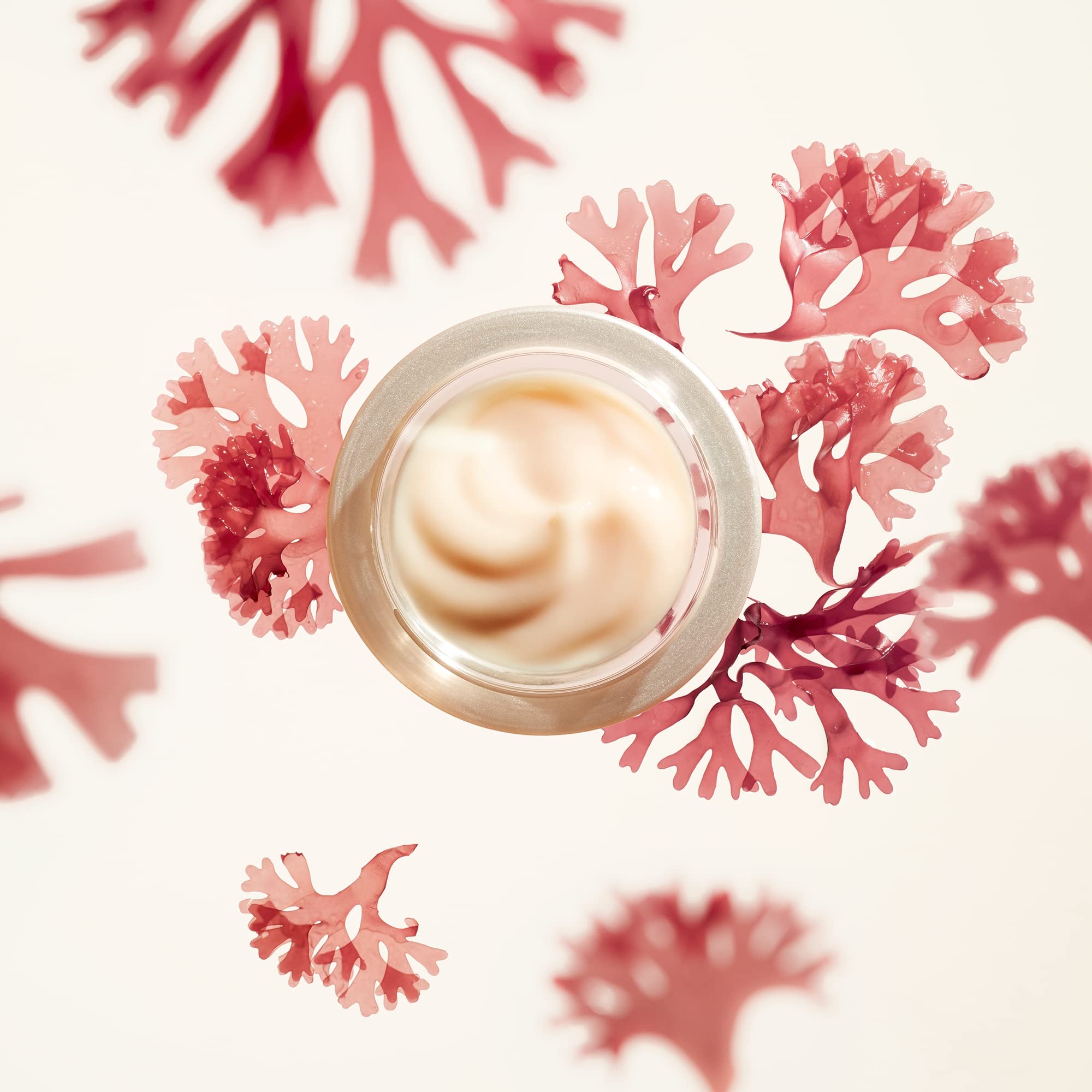 Shiseido Benefiance Wrinkle Smoothing Cream measured usage emphasizes daily portions.
