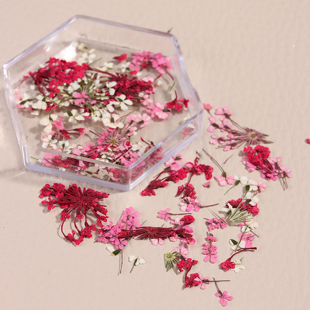 Dried flowers placed on a nail to show simple, elegant nail art