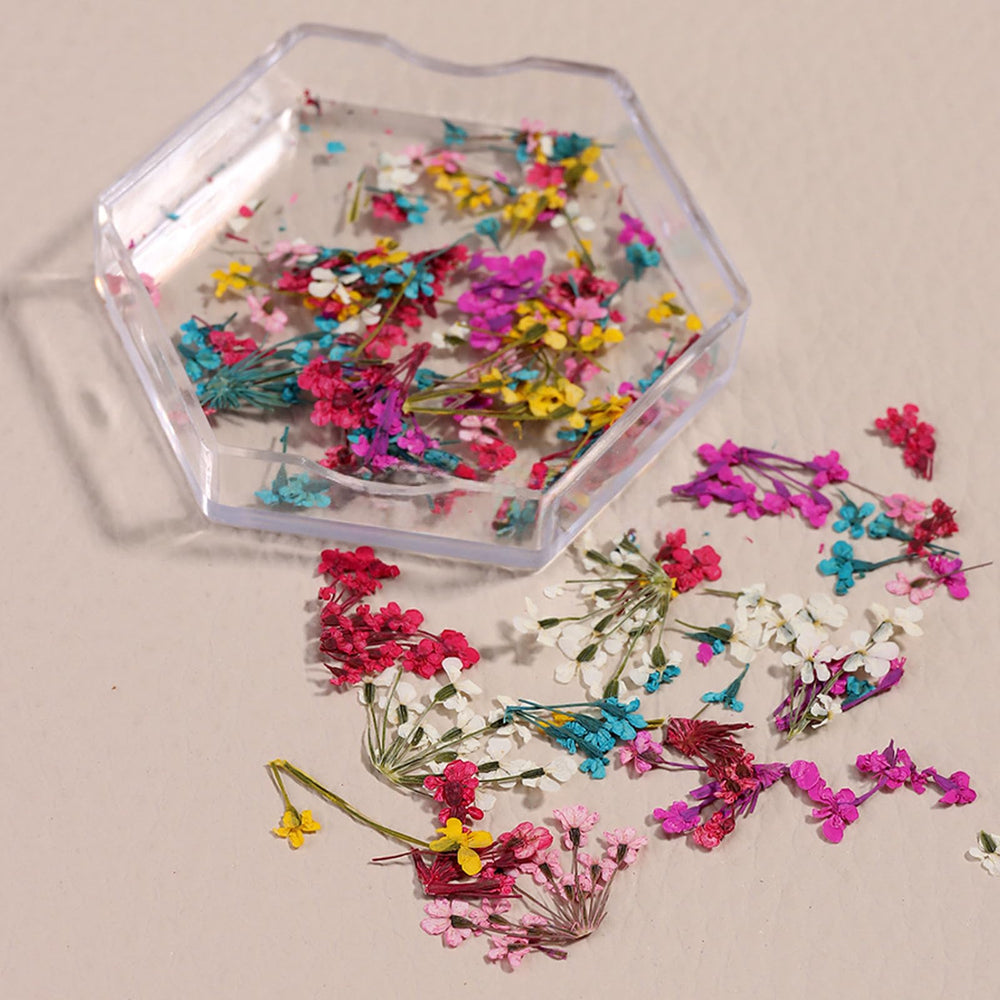 Silpecwee natural dried flowers offering variety for nail art and crafts
