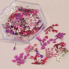 Soak and apply dried flowers for easy nail decoration using tweezers