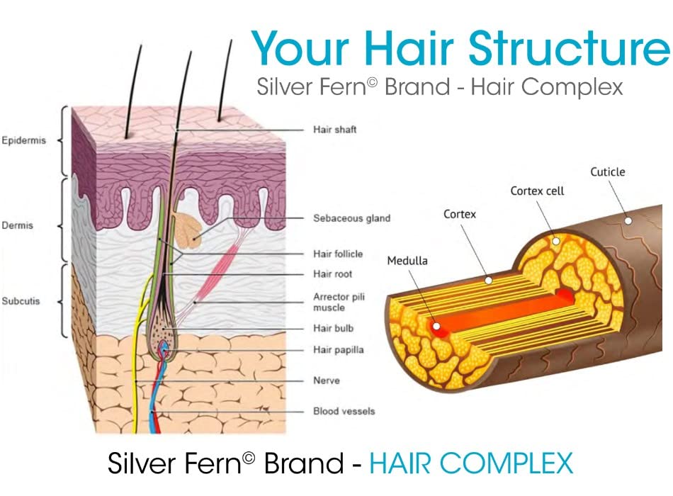 Silver Fern Hair Complex keragen-iv highlights solubilized keratin for potential nourishment.