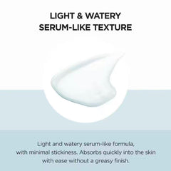 Seven sprouts extracts montage indicating antioxidant support for skin