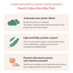 SKINFOOD Peach Cotton Pore Blur Pact minimizes pores on oily skin.