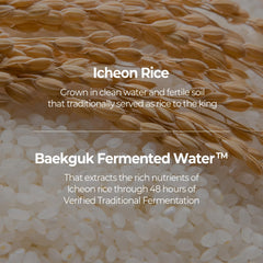 SKINFOOD Rice Brightening Cream envase de 60 ml para uso diario.