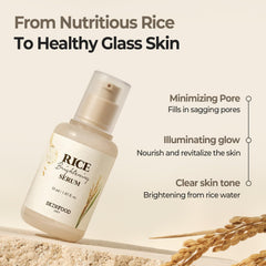 Ingredientes clave de arroz fermentado usados para hidratación y elasticidad