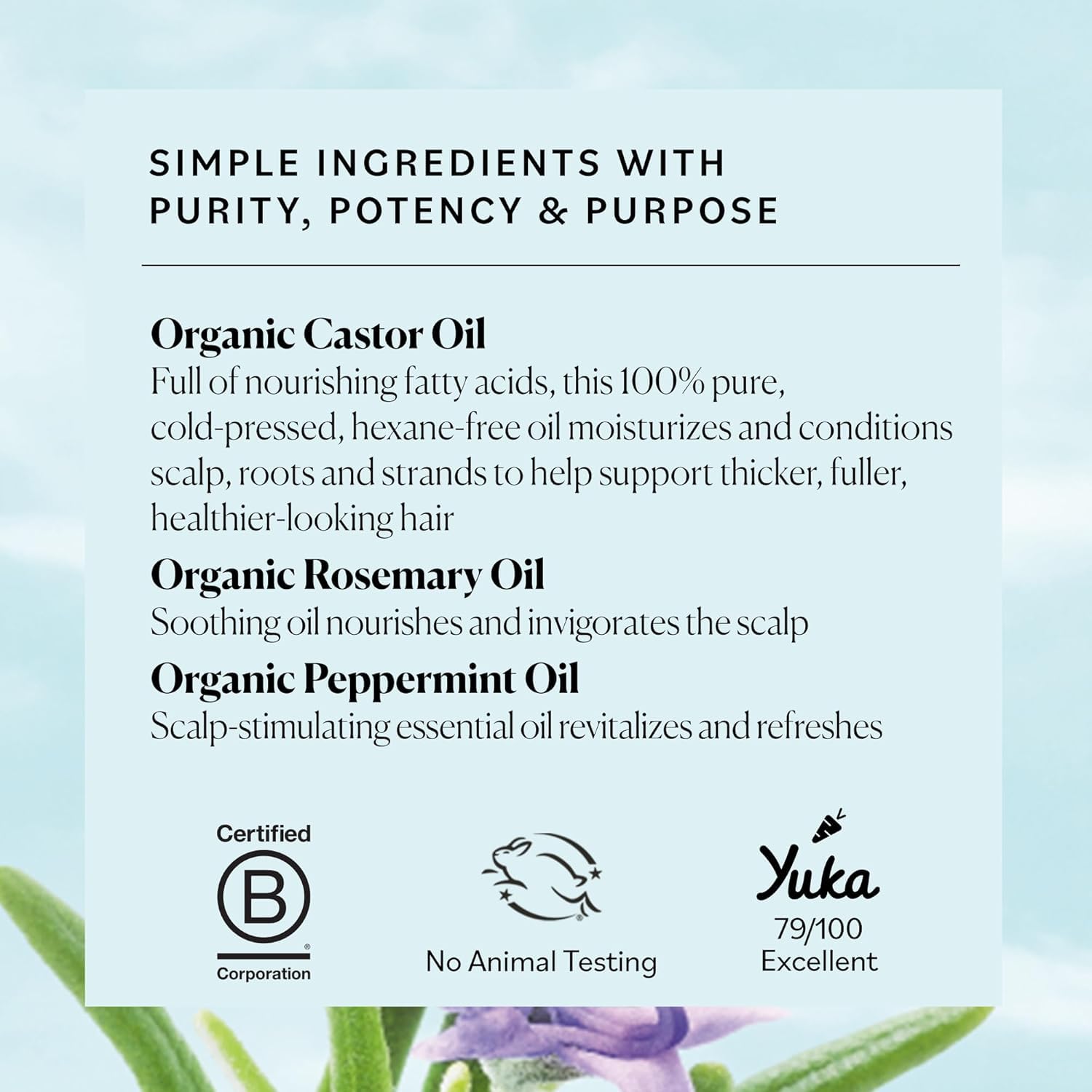 Sky Organics Aceite de Ricino con Romero, ingrediente puro que potencia antioxidantes capilares.