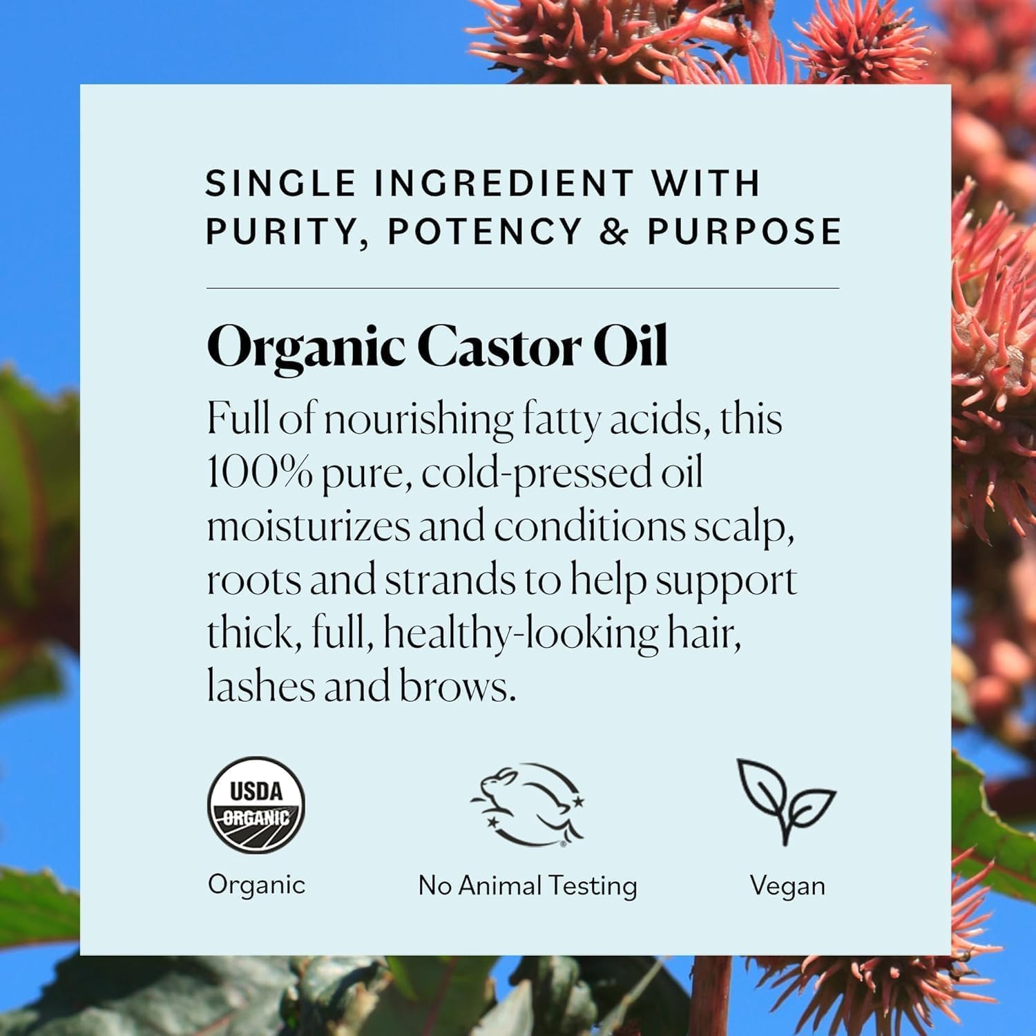 Sky Organics aplicador limpio para bordes de pestañas