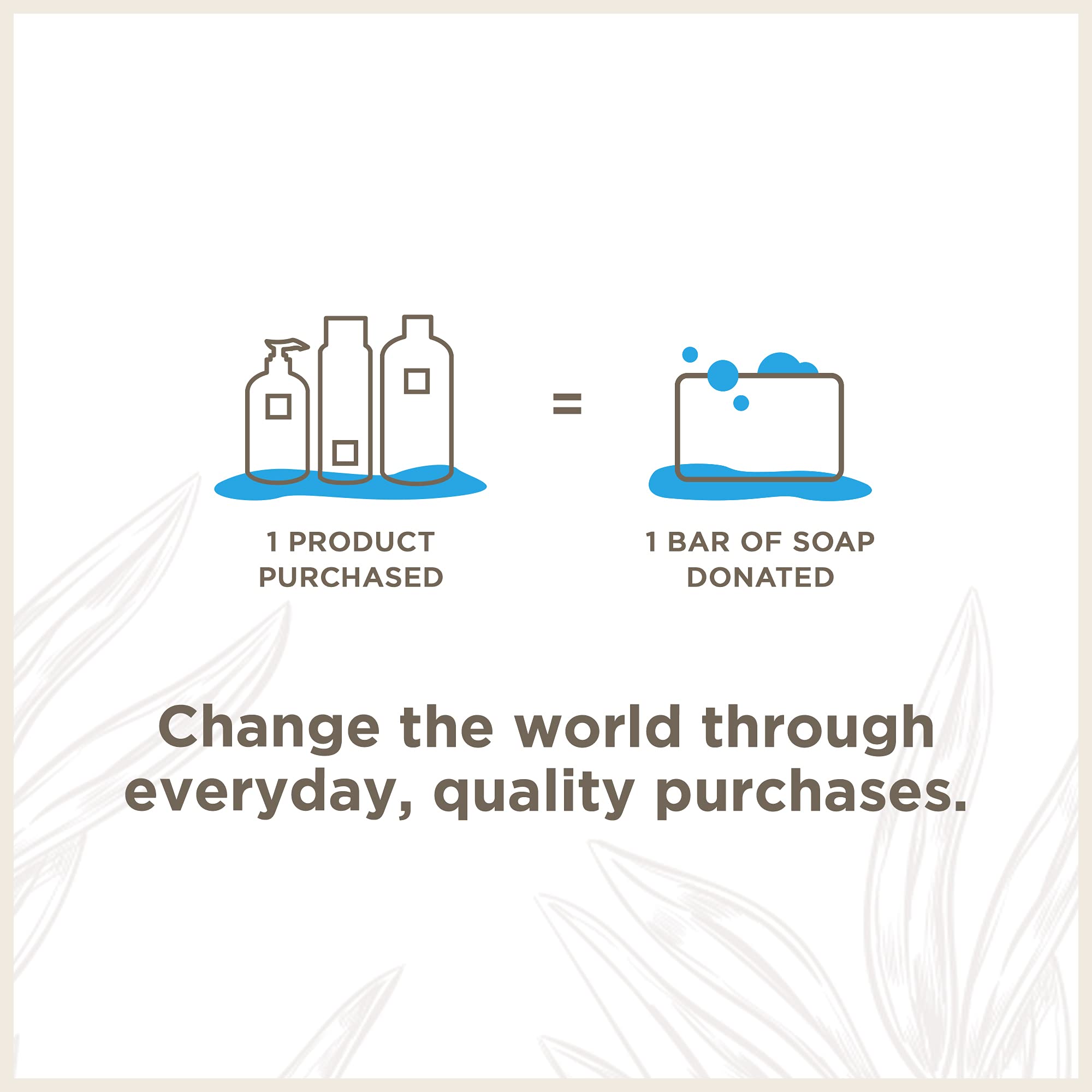Soapbox Coconut & Shea Shampoo bottle beside natural plant ingredients