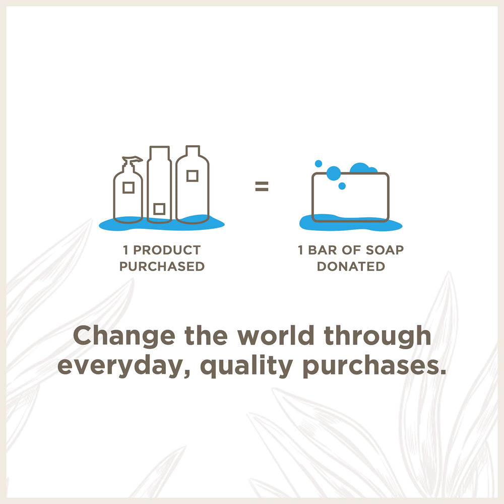 Soapbox Coconut & Shea Shampoo bottle beside natural plant ingredients