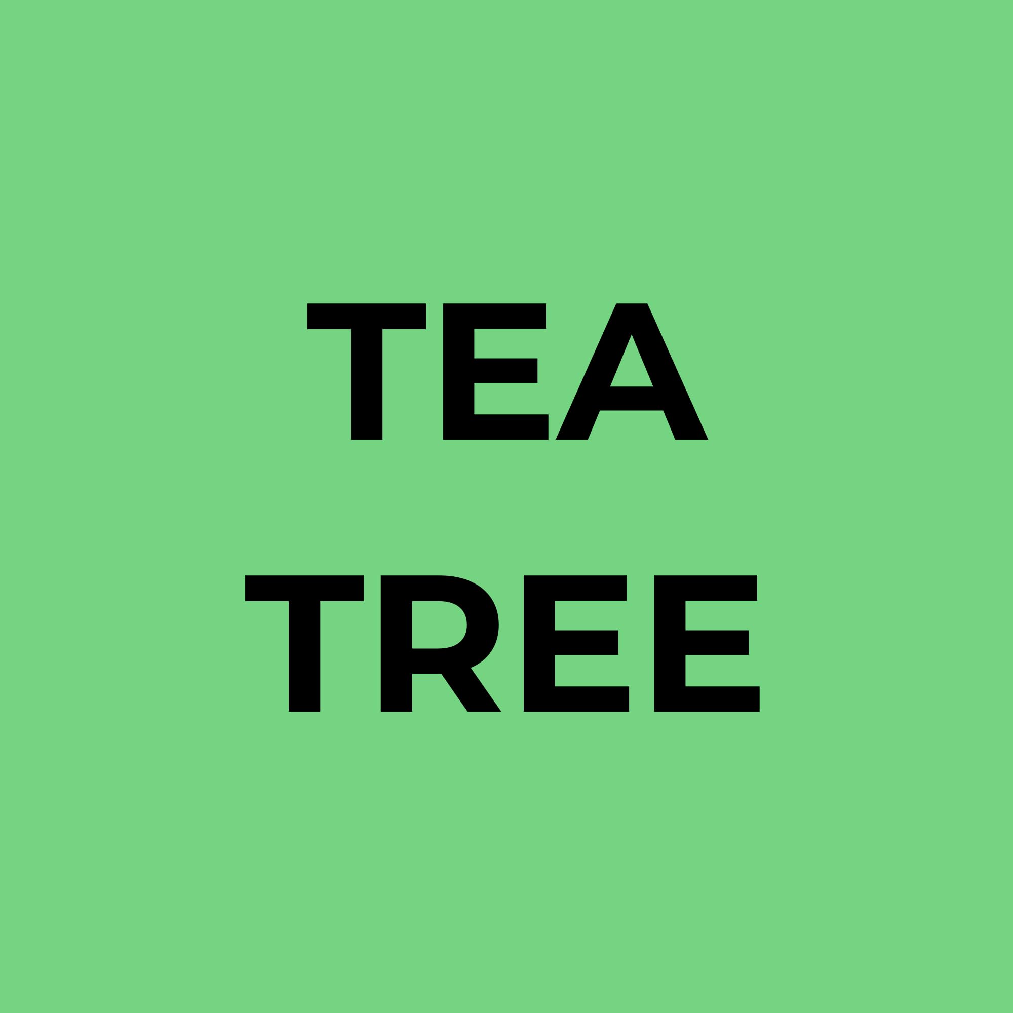 Soapbox Tea Tree care set supports clean, purified hair follicles with tea tree oil.