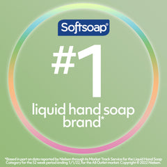 Refill bottle of Softsoap Fresh Citrus for mess-free bathroom and kitchen refills