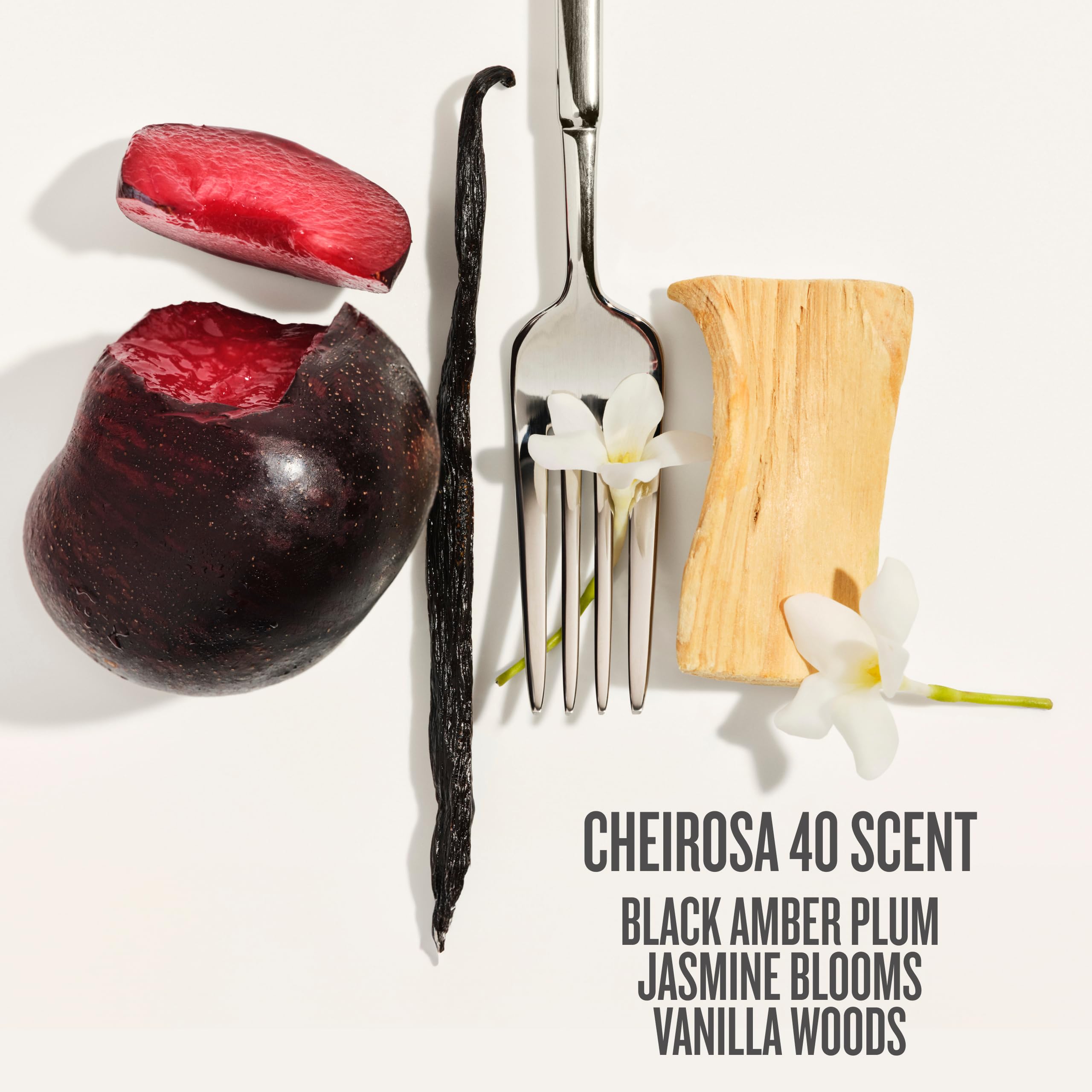 Top notes of Black Amber plum highlighted in Bom Dia Bright fragrance.