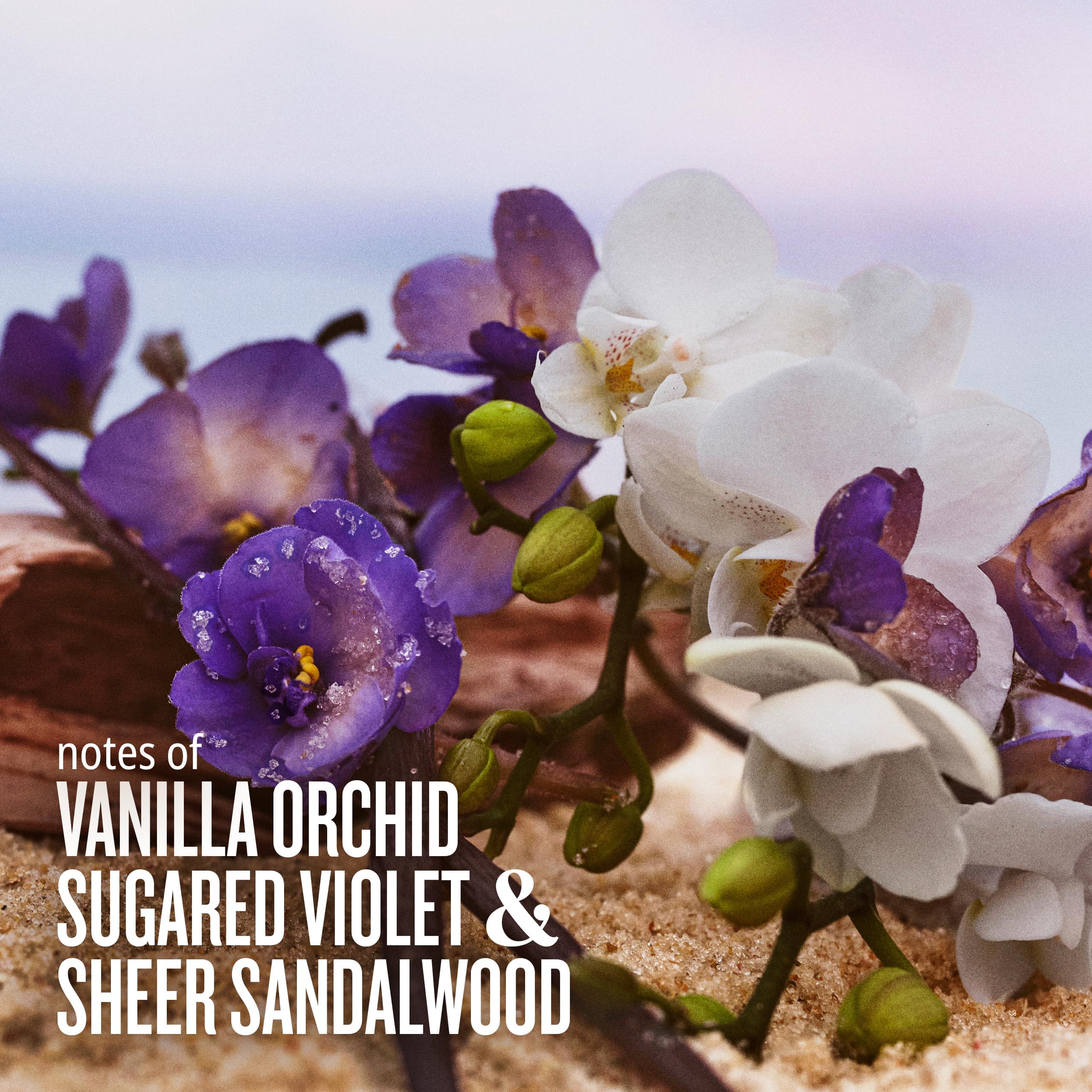 Sol de Janeiro Cheirosa 59 sugared violet note close-up for sweet mood.