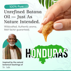 Spoild Batana oil Honduras source highlights authentic origin for trusted care.