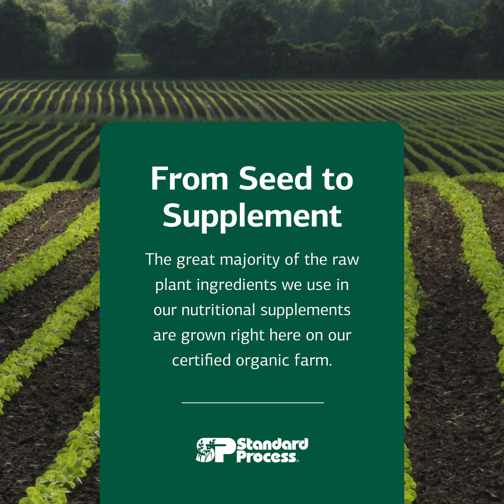 Standard Process Zymex packaging noting gluten-free non-dairy non-soy claim.