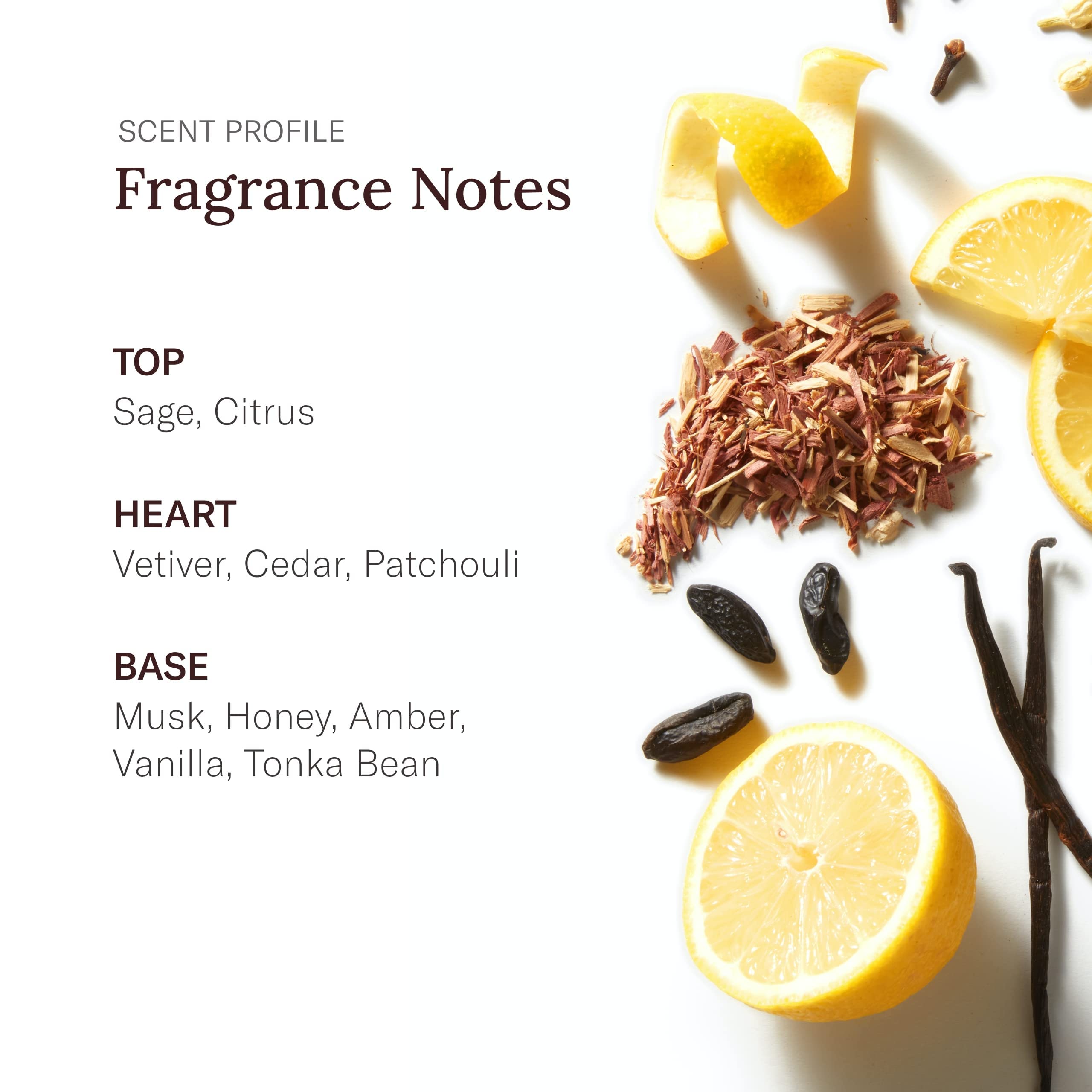 Close-up of sage and citrus notes from Stetson Original After Shave.