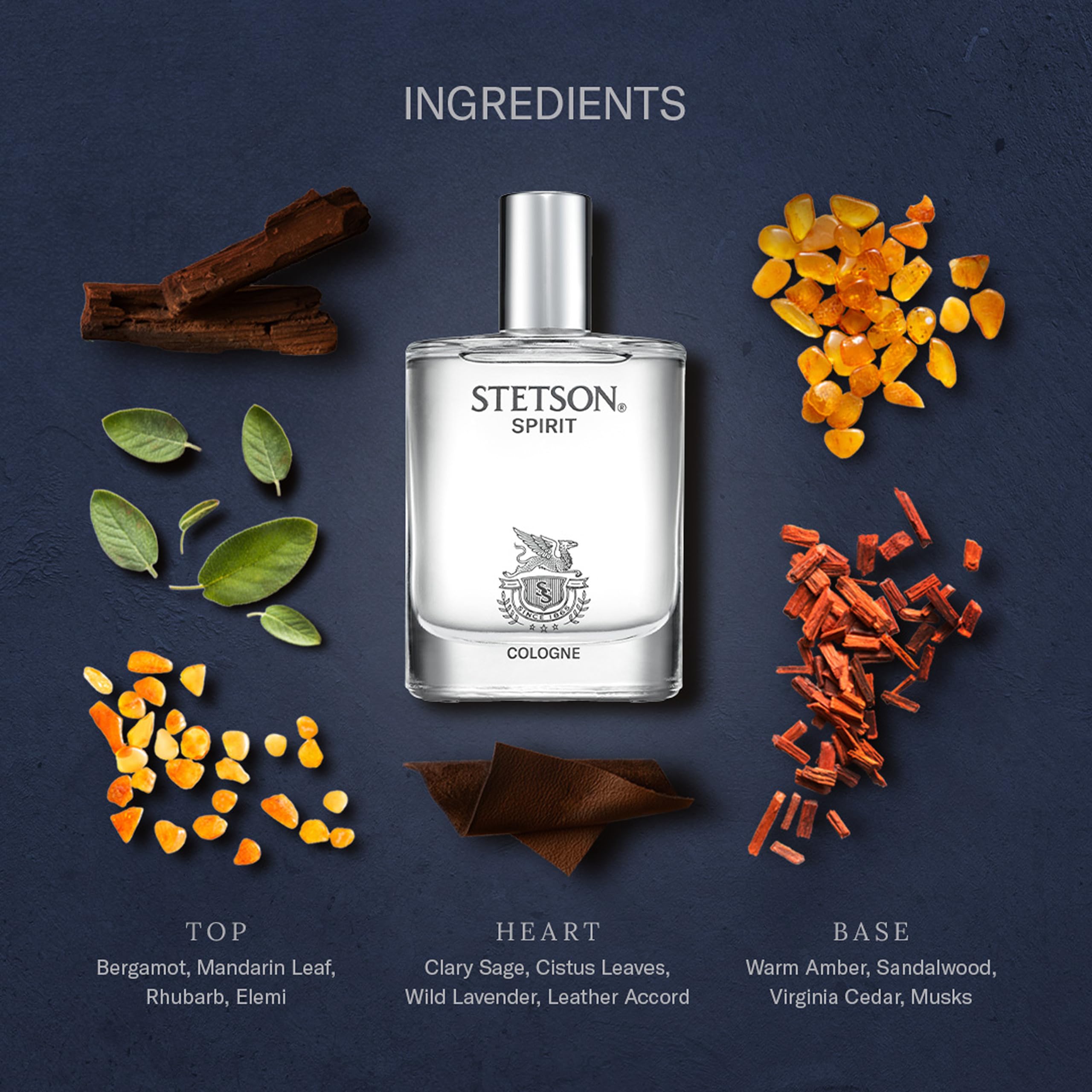 Stetson Spirit note breakdown showing leather and amber dry notes.
