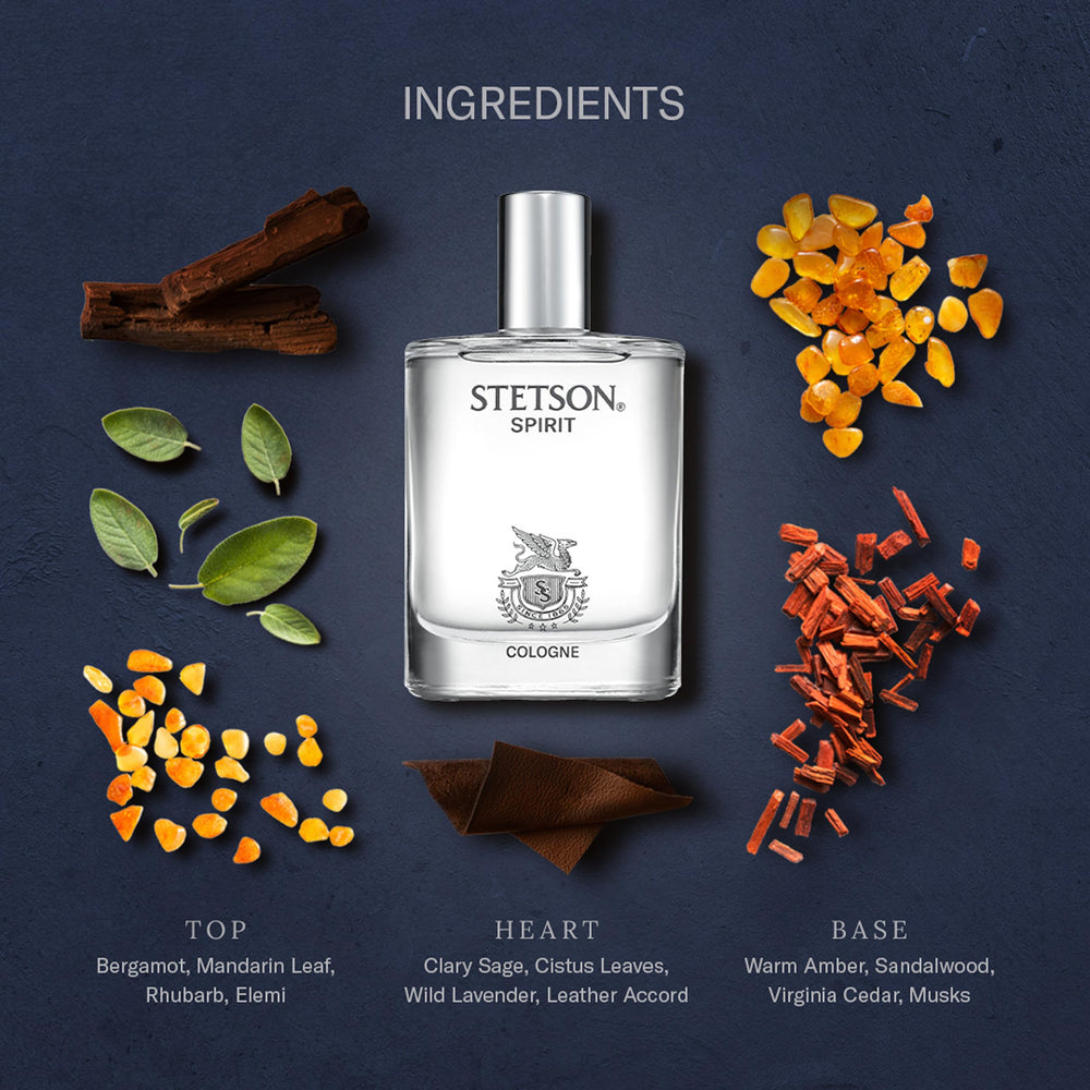 Stetson Spirit note breakdown showing leather and amber dry notes.
