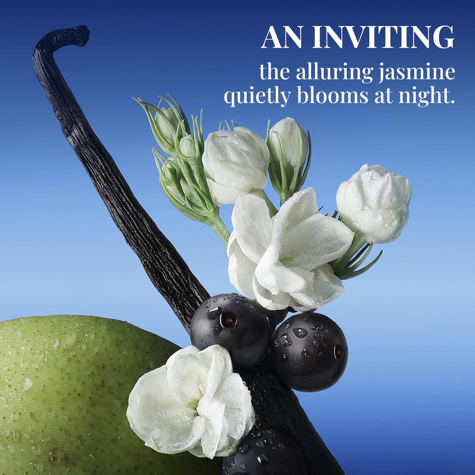 Stttes Smell Rio gift packaging conveying luxury and refined gift appeal