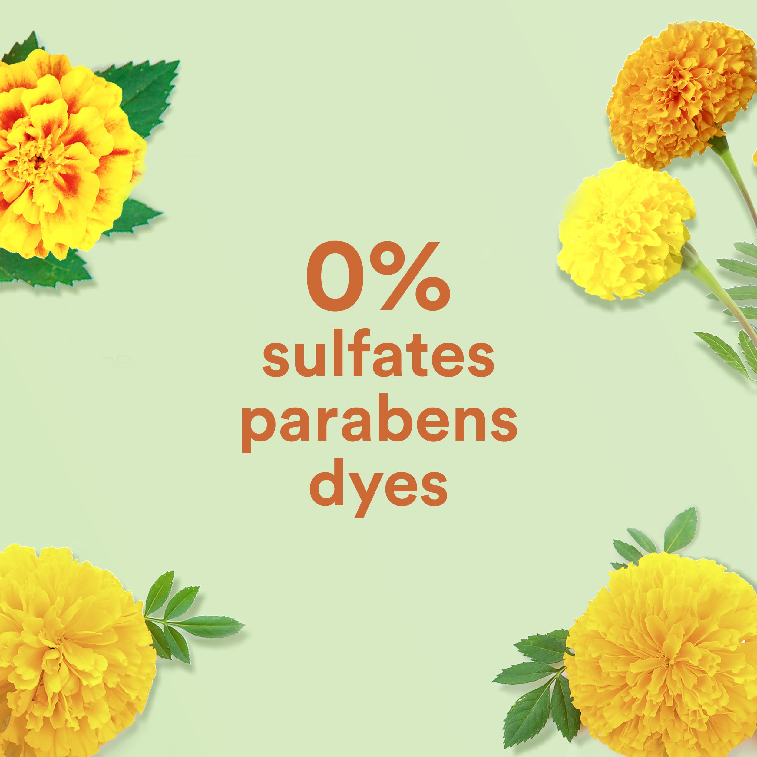 Natural marigold ingredient visual highlights plant-based extract benefits.