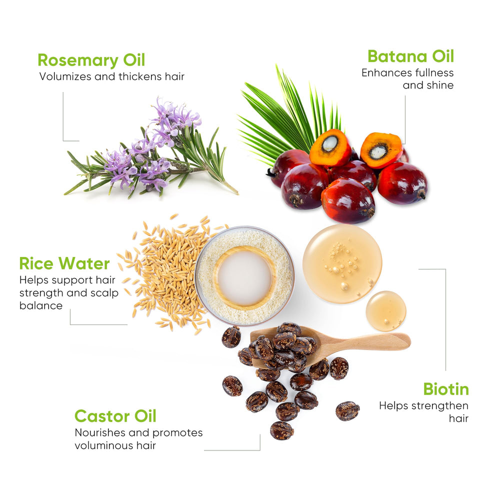 Ingredientes clave romero batana biotina para cabello saludable