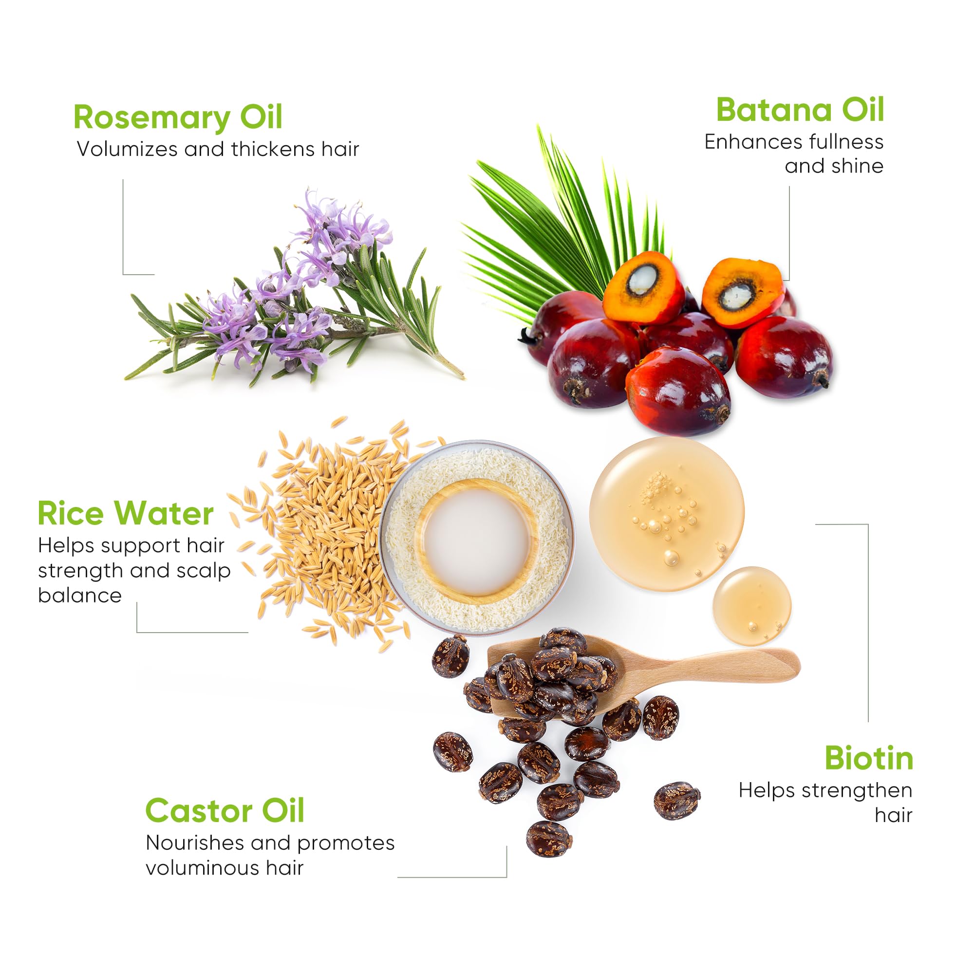 Svvimer ingredientes romero biotina destacan brillo y densidad visibles