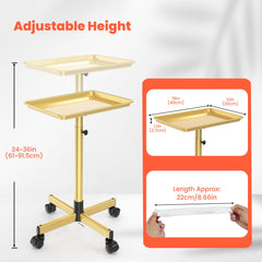 TASALON cart with smooth wheels enables easy movement around the studio.