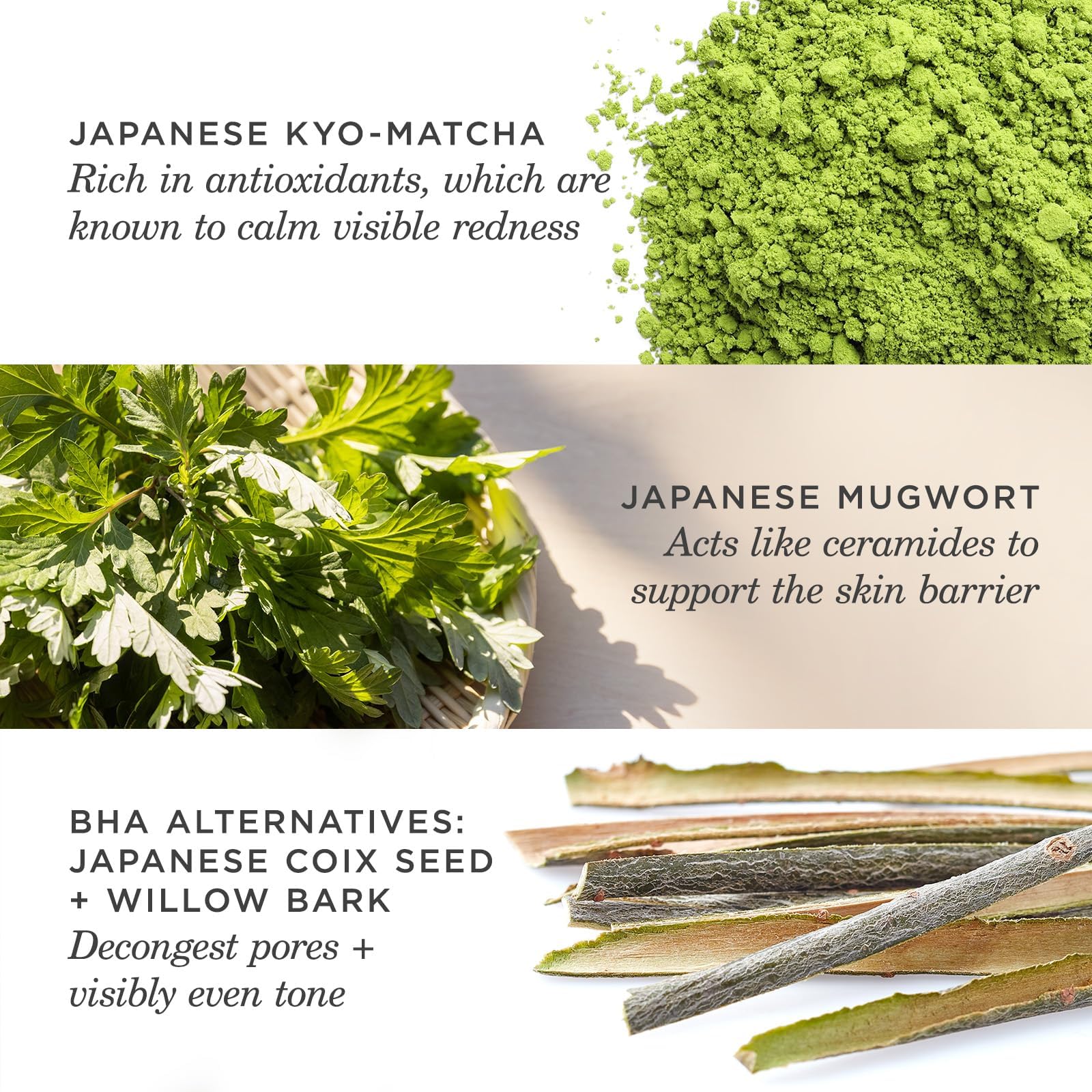 TATCHA The Matcha Cleanse aplicación suave que se enjuaga fácilmente.