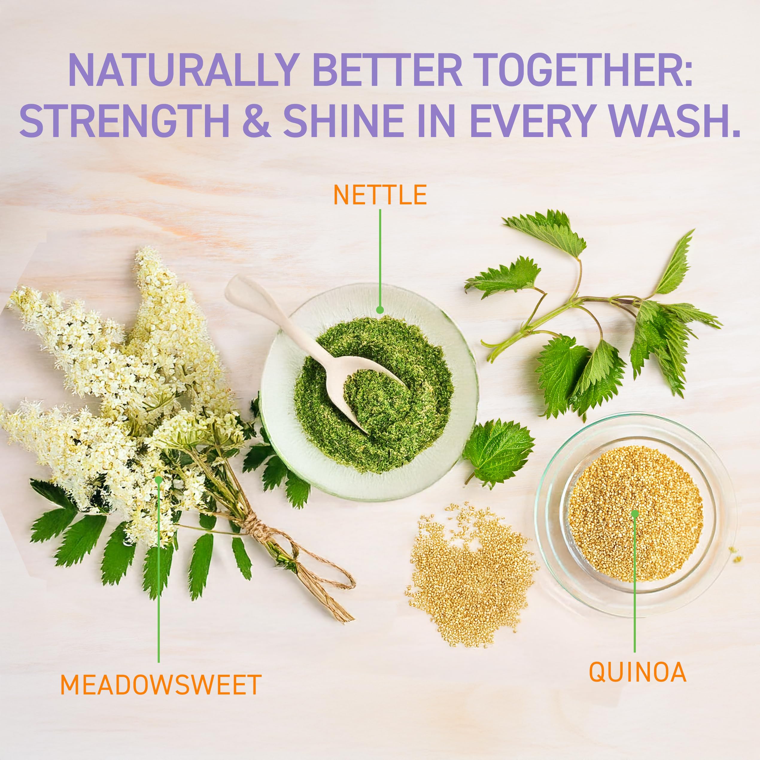 TBH ingredients quinoa and jojoba highlight hydration and strengthening for all hair types