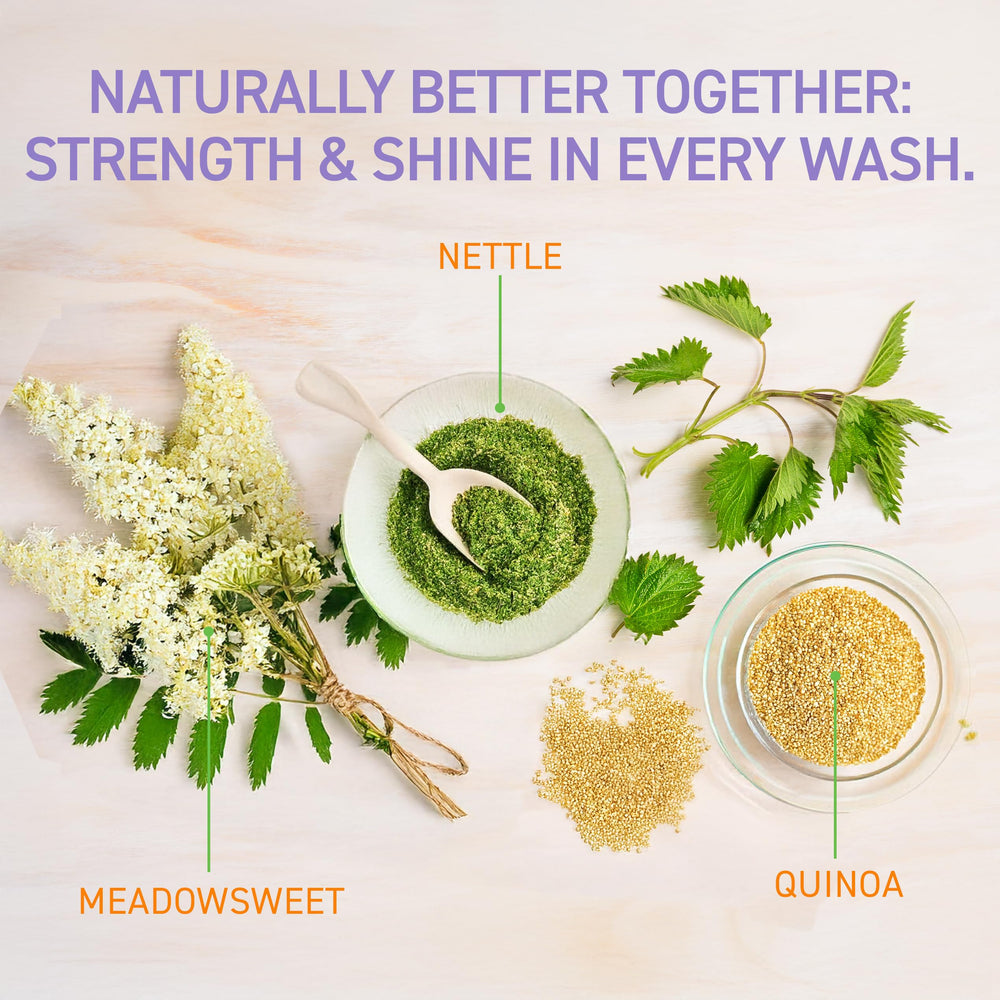 TBH ingredients quinoa and jojoba highlight hydration and strengthening for all hair types