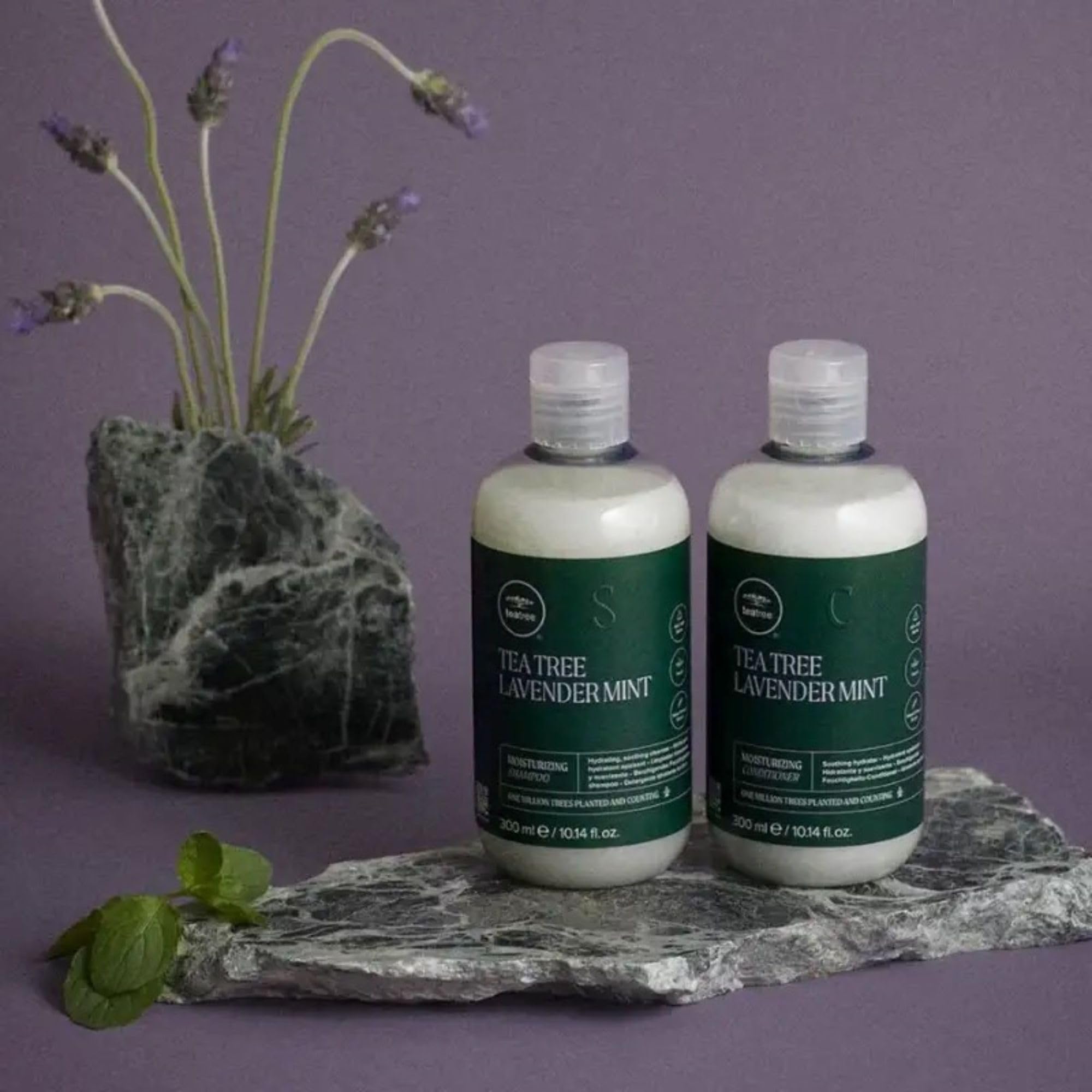 Ingredient focus on Tea Tree Lavender Mint Moisturizing Shampoo with amino acids