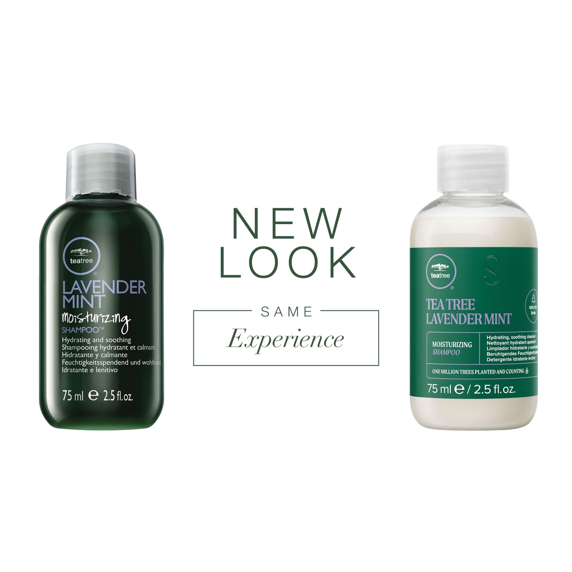 Tea Tree Lavender Mint Shampoo etiqueta, ingredientes calmantes