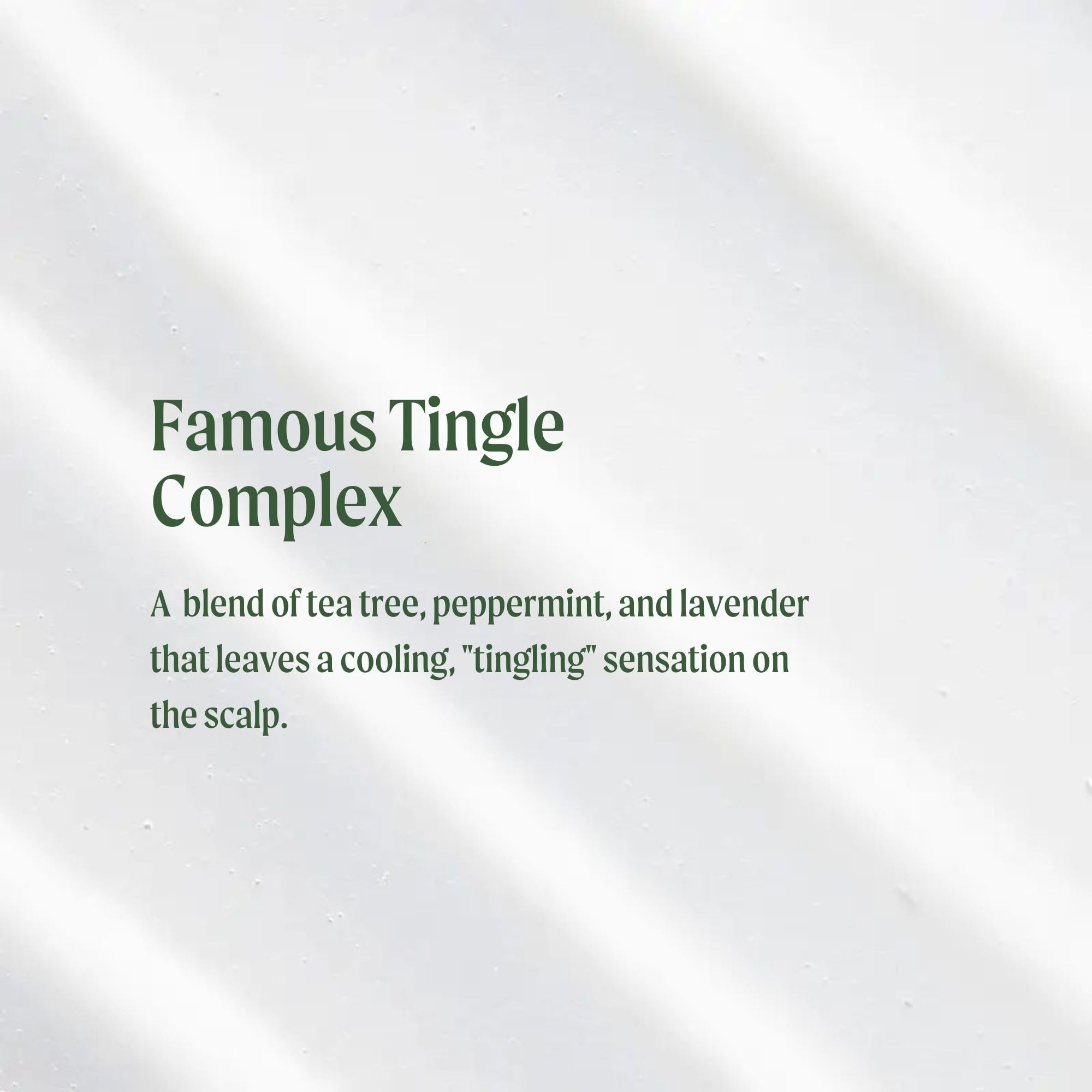 Tea Tree Special Conditioner label closeup highlights moisturizing botanicals